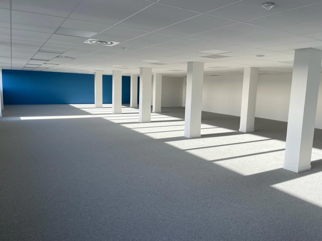 Bureau Toulouse 6021m² Location bureau Toulouse Haute-Garonne OLBUR2206686 18